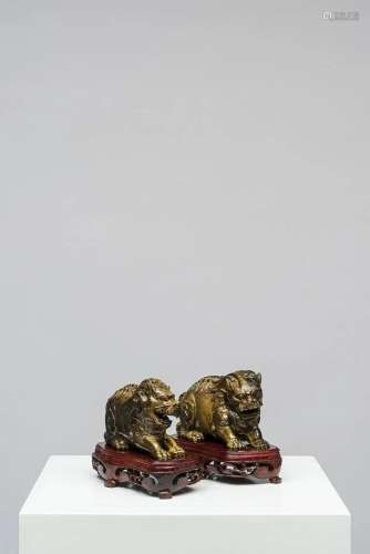 PAIR OF LION DOGS