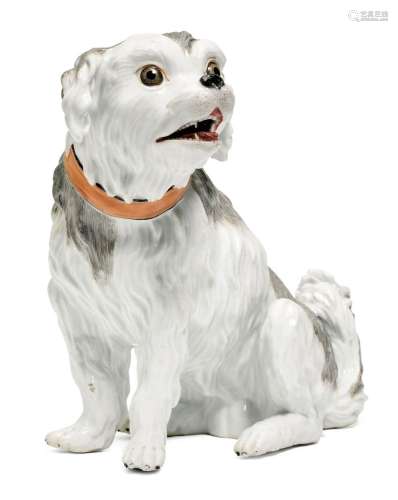 MODEL OF A BOLOGNESE PUPPY-DOG