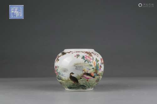 Color Enameled Jar with Mandarin Duck Design, Yongzheng Reig...