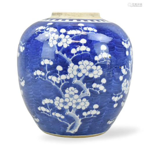 Large Chinese Blue & White Prunus Jar ,19th C.