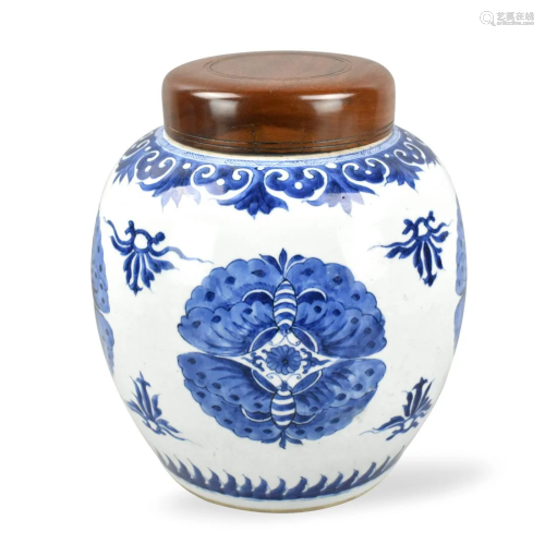 Chinese Blue & White Jar w/ Butterfly ,18/19th C.