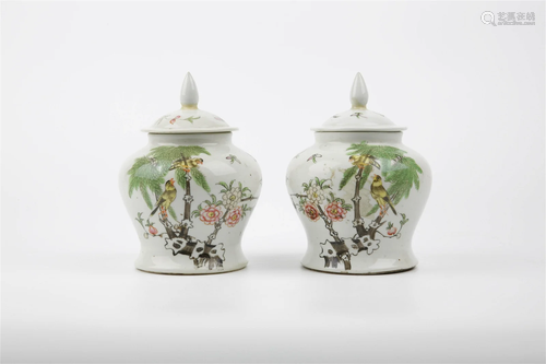 Famille Rose Jar with Flower and Bird Patterns