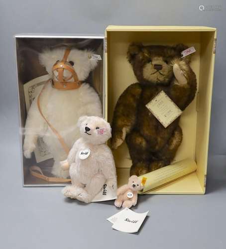 A white tag Steiff Muzzle teddy bear, 33cm, box/cert. with b...