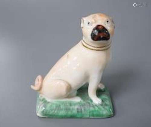 A Derby pug dog of large size, c.1810-30, naturalistically p...