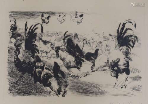 Philipp Ranish, etching, Study of chickens and cockerels, si...