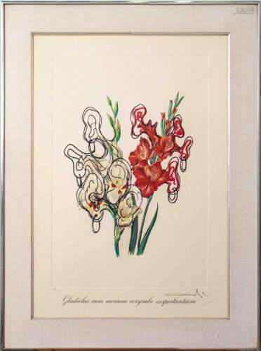 Salvador Dali "Gladiolus Cum Aurium" Lithograph