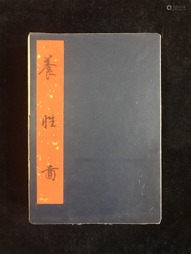 A Chinese Book of Painting