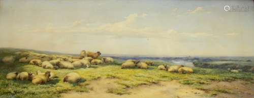 THOMAS FRANCIS WAINEWRIGHT (1794-1883) SHEEP ON A HEATH Sign...