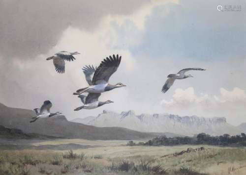 •JOHN CYRIL HARRISON (1898-1985) BUSTARDS, AFRICA Signed, wa...