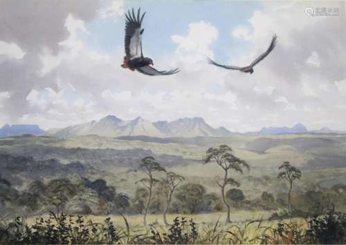 •JOHN CYRIL HARRISON (1898-1985) EAGLES SOARING, AFRICA Sign...