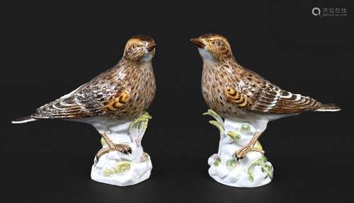 PAIR OF MEISSEN SONG THRUSHES each bird mounted on a natural...