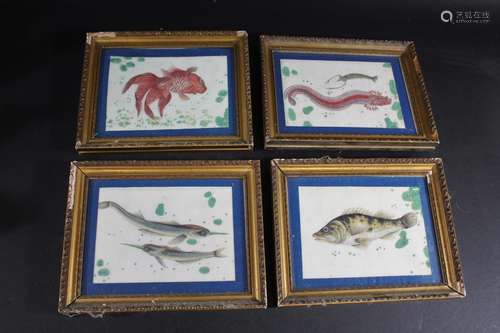 CHINESE PITH PAINTINGS - FISH four framed pith paintings wit...