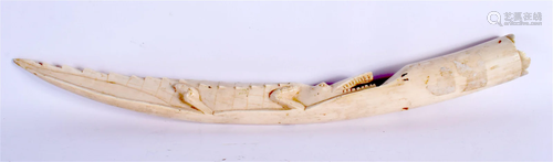 A LONG 19TH CENTURY AFRICAN CARVED IVORY CROCODILE TUSK of n...