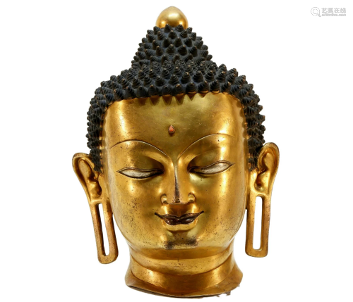 A Gorgeous Gilt-bronze Sakyamuni Head