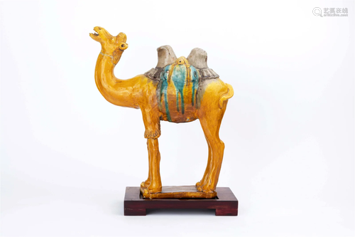 TRICOLOUR CAMEL (WITH DAMAGE), TANG DYNASTY