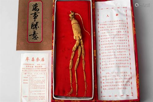 CHANGBAI MOUNTAIN WILD GINSENG, CIRCA 1970S