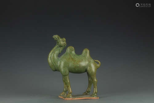 A Green Glaze Camel   The Chinese Tang Dynasty