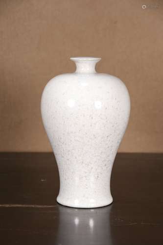 An Exquisite Glaze Mei Vase     Chinese Qing Dynasty