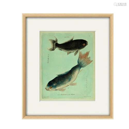 Antique fish art print koi art Nautical art print Ocean deco...