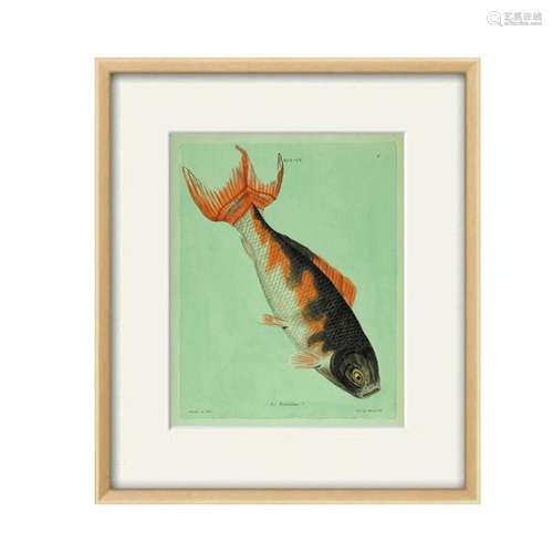 Antique fish art print koi art Nautical art print Ocean deco...