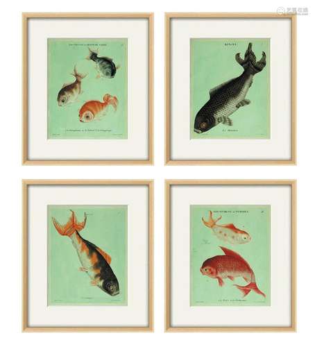 Antique fish art print koi art Nautical art print Ocean deco...