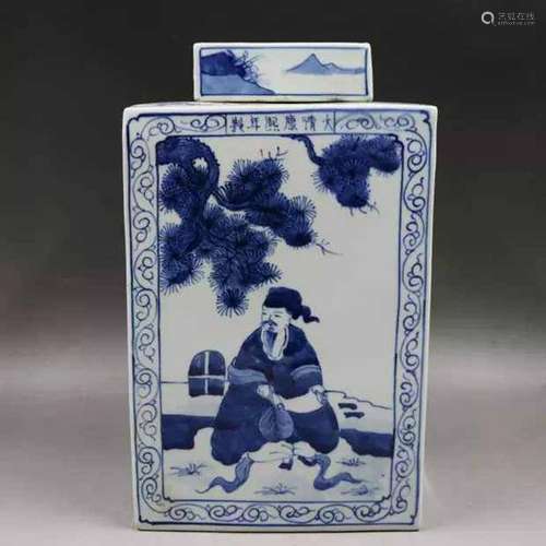 Qing Dynasty Kangxi  Style Blue and White Doucai Porcelain T...