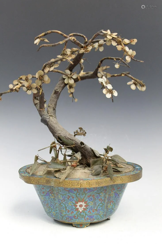 Chinese Cloisonne Planter Jade Tree