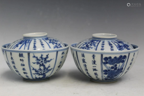 Pair of Chinese Blue and White Porcelain Bowls with Covers