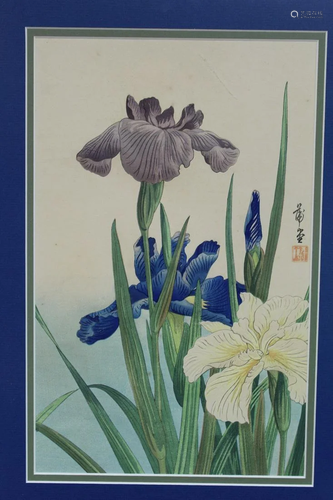 Iris, Shodo Kawarazaki, Japanese Woodblock Print.