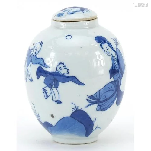 Chinese blue and white porcelain lidded tea caddy hand paint...