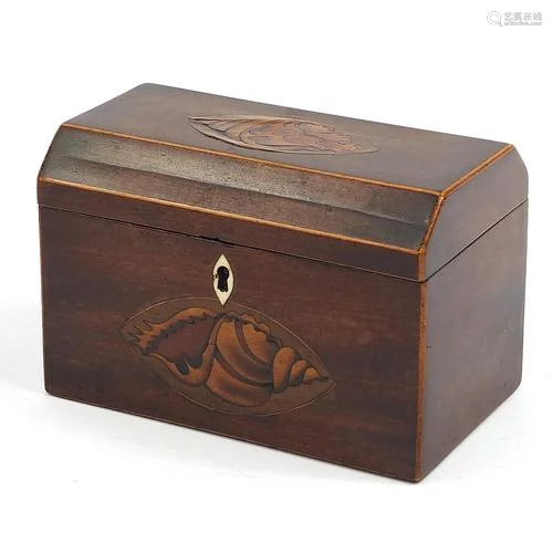 Early 19th century inlaid mahogany tea caddy with twin divis...