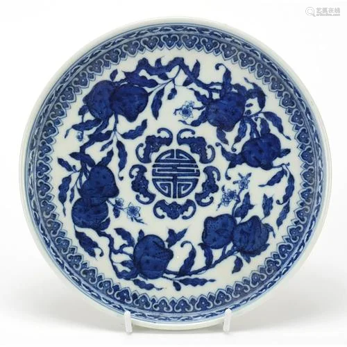 Chinese blue and white porcelain tray hand painted with peac...