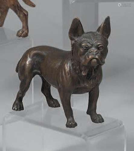 Boston-terrier. Marqué Geschützt. H. : 10,2 cm. L. : 12,4 cm...