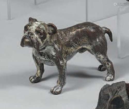 Bouledogue anglais. Marqué Austria Geschützt. H. : 6,7 cm. L...