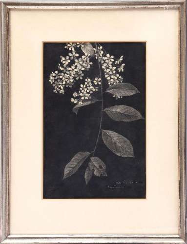 Signed Henry Timmermans, leaves, woodcut