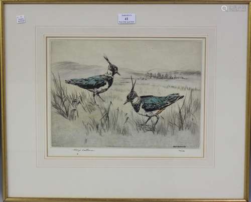 Henry Wilkinson - Two Lapwings in a Marshland Landscape, 20t...