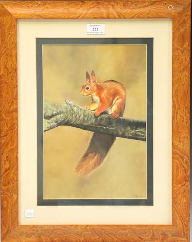 Michael P. Jevon - Red Squirrel on a Branch, early 21st cent...