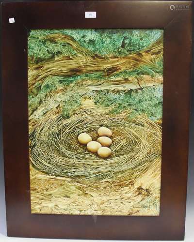 Anthony Harris - Birds Nest on a Mossy Bank, 20th century ac...