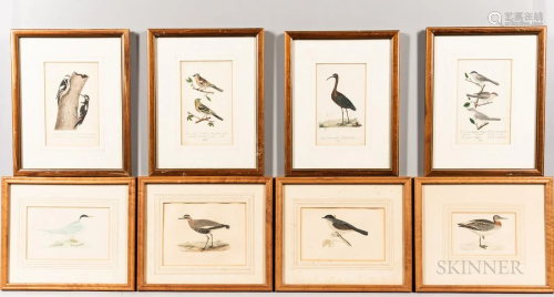 Eight Ornithological Prints, late 19th century, including so...