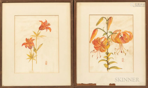 Two Watercolors and Gouache of Tiger Lilies, New England, ma...