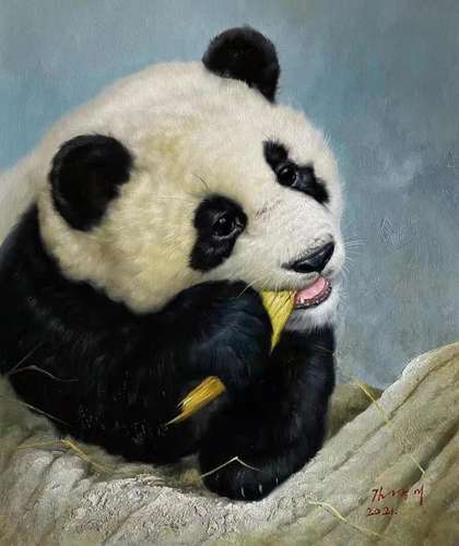 Panda, Oil Painting