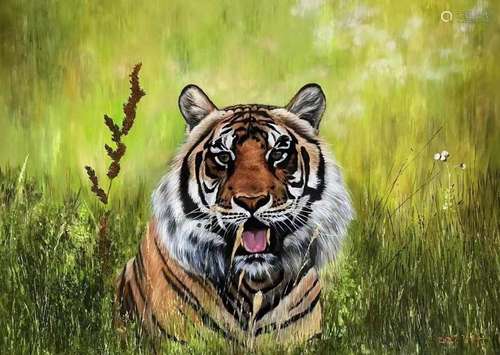 Tiger, Oil Painting