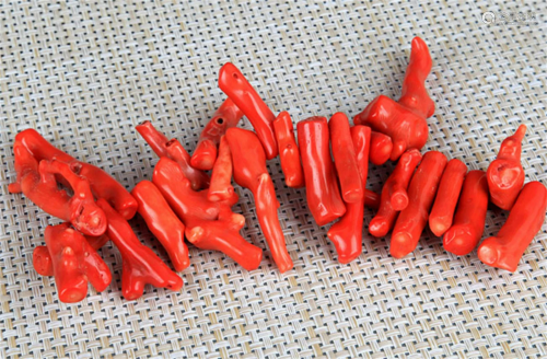 GROUP OF 24 RED CORAL