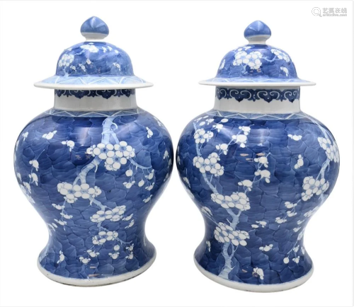 Pair of Chinese Blue and White Covered Temple Jars, 19th cen...