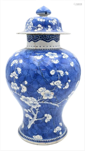 Chinese Blue and White Prunus Covered Temple Jar, 18th centu...