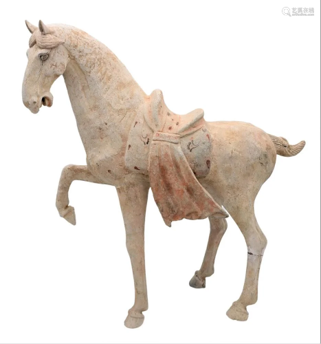 Tang Dynasty Horse Figure, having remnants of paint on plexi...