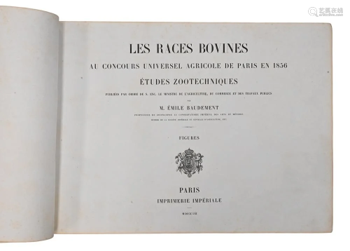 Les Races Bovines Au ConCours Universel Agricole De Paris, 1...