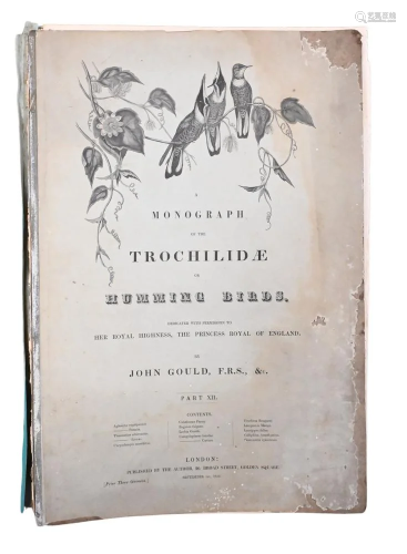 Large Folio Book Monograph of The Trochilidae Hummingbirds, ...