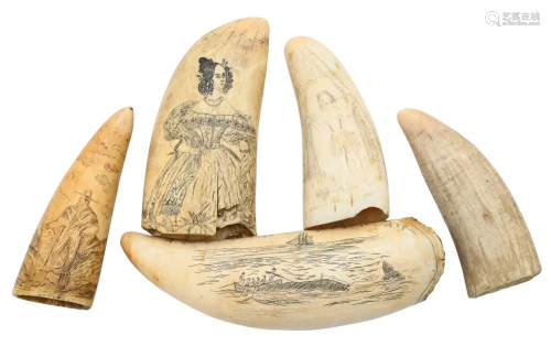 Five Whales Teeth, to include one with scrimshawed women in ...