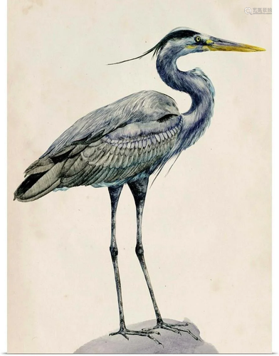 Blue Heron Rendering I Wall Art Print